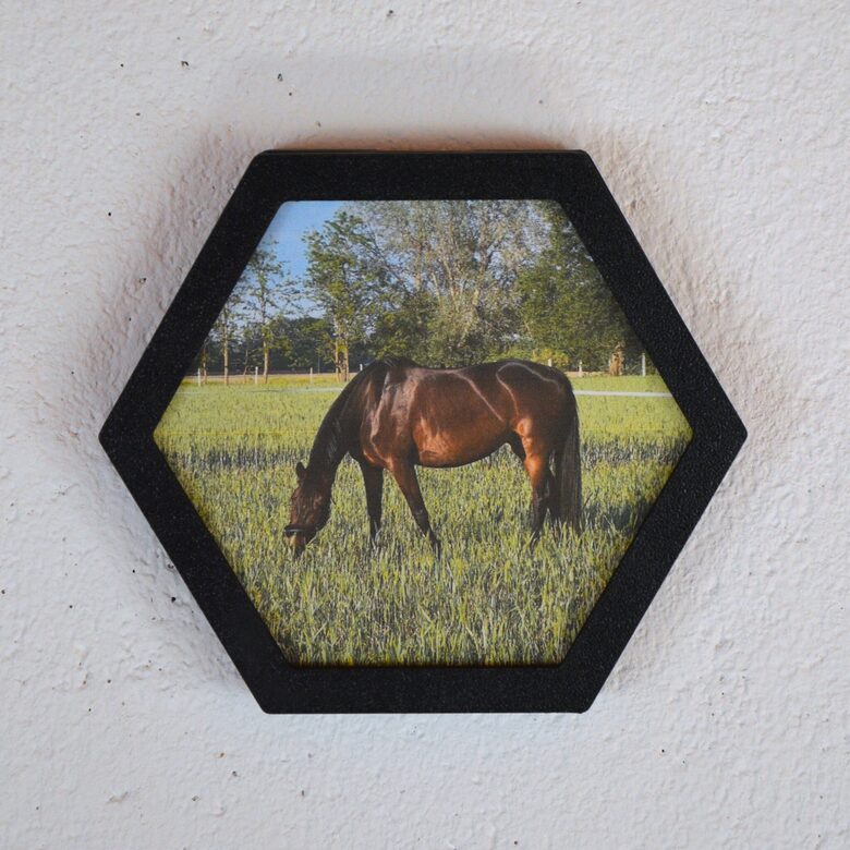 EQUIPHOTO képtartó